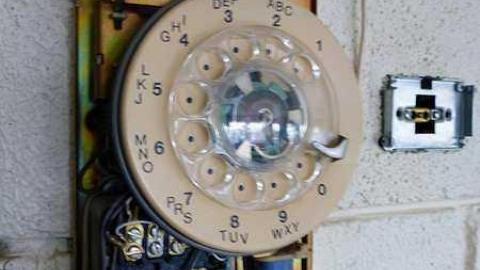 Too Cool For School - w-P1040562.jpg