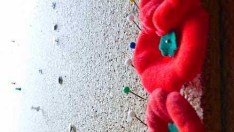 Too Cool For School - i-P1040567.jpg