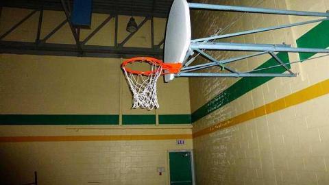 Too Cool For School - l-P1040570.jpg