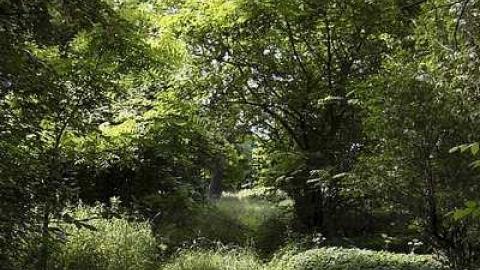 Photo from June 27 2013