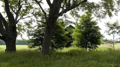 Photo from June 27 2013