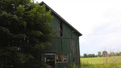 June 27 2013 - Big-Green74.jpg