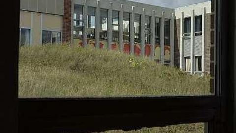 Sept '15 - i-238.jpg