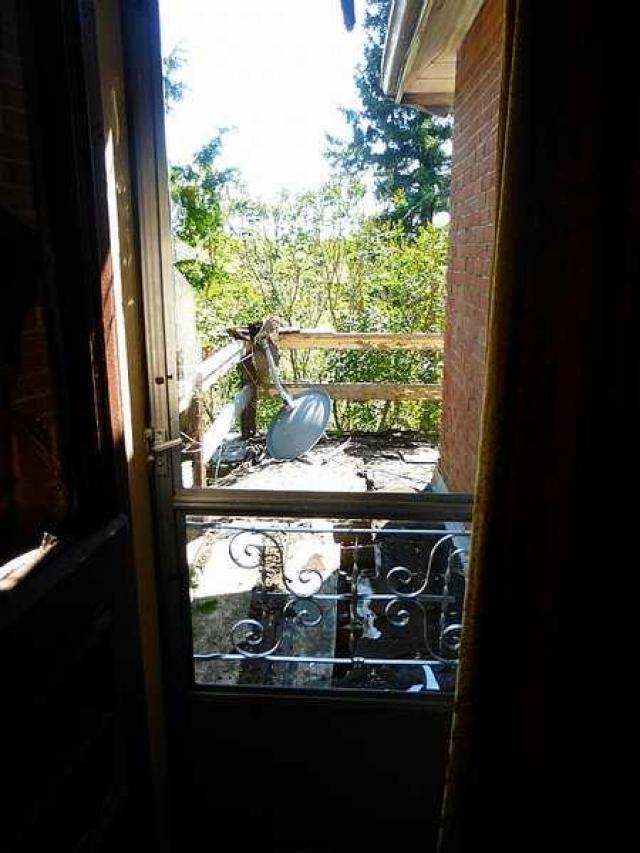 Pinkerton Farm photo 5