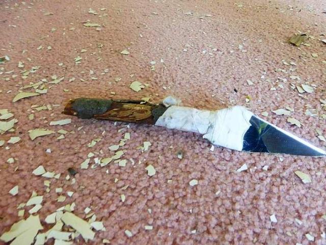 Pinkerton Farm photo 3