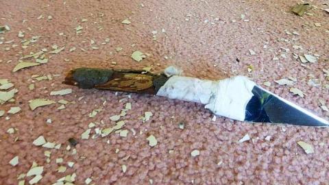 Pinkerton Farm photo 3