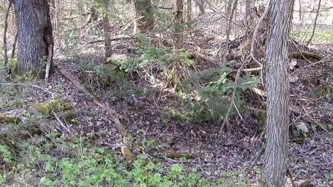 Hicks Farm - Monsell-(Orma-Jones-Tragedy)58.jpg