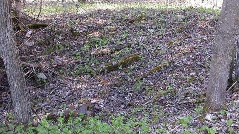 Hicks Farm - Monsell-(Orma-Jones-Tragedy)62.jpg