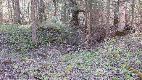 Hicks Farm - Monsell-(Orma-Jones-Tragedy)60.jpg