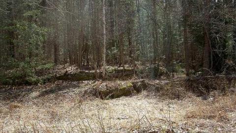 Crawford Farm and South - Hindon-Hill-(Drowning-Tragedy)36.jpg