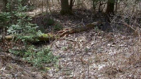 Crawford Farm and South - Hindon-Hill-(Drowning-Tragedy)41.jpg