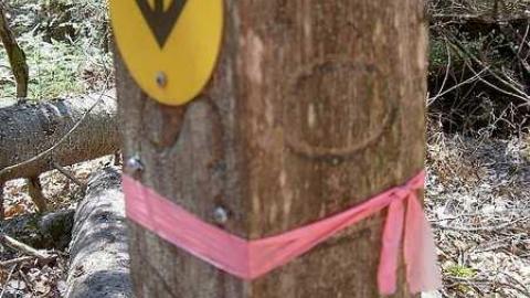 Crawford Farm and South - Hindon-Hill-(Drowning-Tragedy)38.jpg