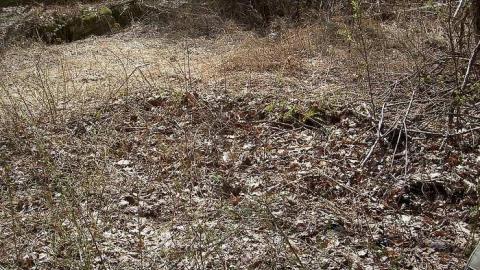 Crawford Farm and South - Hindon-Hill-(Drowning-Tragedy)43.jpg