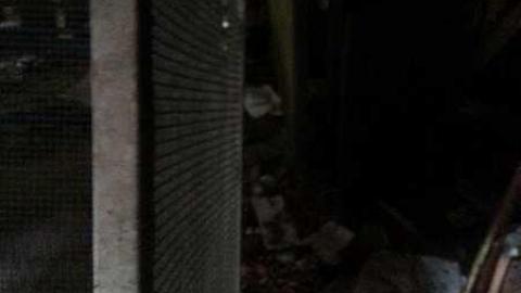 Prospector Cabin photo 5