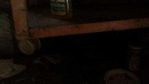 Cabin - Prospector-Cabin7.jpg