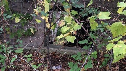 Trip to Darnley - Darnley-Mill-Crooks-Hollow214.jpg