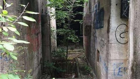 Trip to Darnley - Darnley-Mill-Crooks-Hollow218.jpg