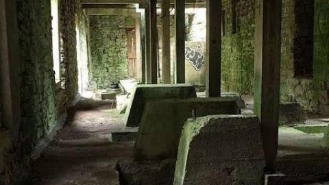 Trip to Darnley - Darnley-Mill-Crooks-Hollow196.jpg