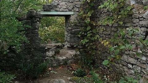 Trip to Darnley - Darnley-Mill-Crooks-Hollow219.jpg