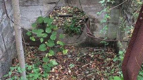 Trip to Darnley - Darnley-Mill-Crooks-Hollow200.jpg