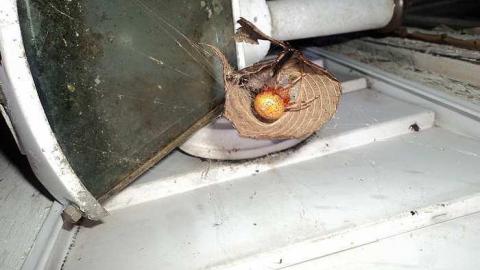 Photo from Lee House