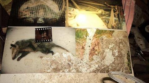 Lee House - w-DSC03162.jpg