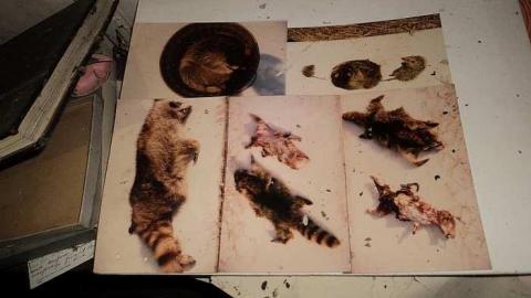 Lee House - e-DSC03163.jpg