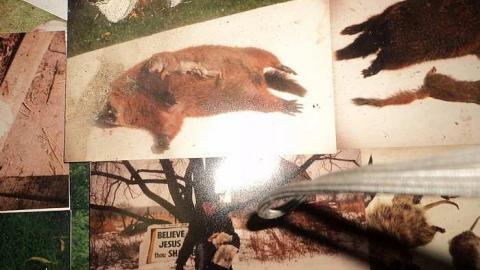 Lee House - u-DSC03168.jpg