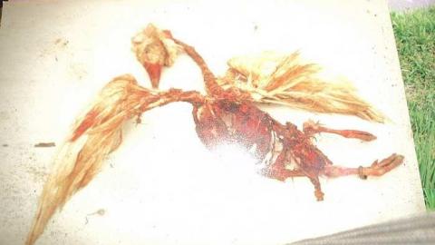 Lee House - a-DSC03169.jpg