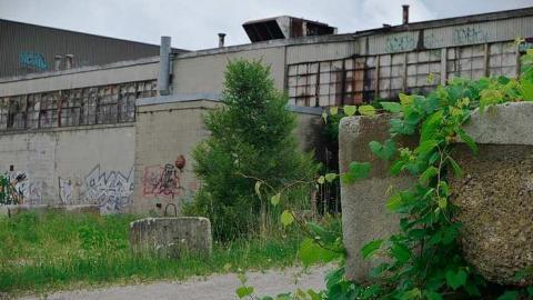 Re-visit - k-DSC_0105.jpg