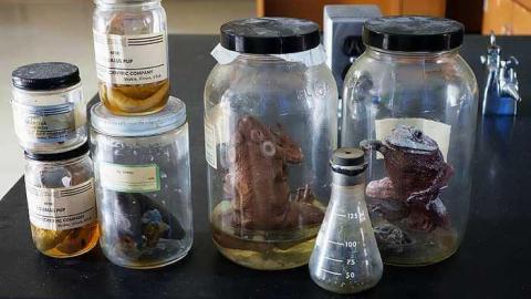 I Love Drama '15 - w-DSC08804.jpg