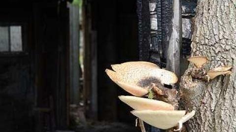 Publicly Public - Publicly-Public3.jpg