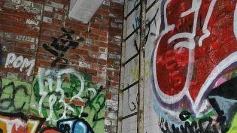 Photo from Just Another Linseed Gallery