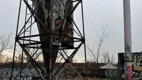 Photo from Just Another Linseed Gallery