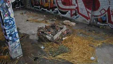 Photo from Just Another Linseed Gallery