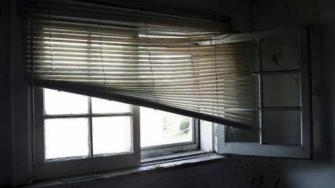 October Visit - Cat-House8.jpg