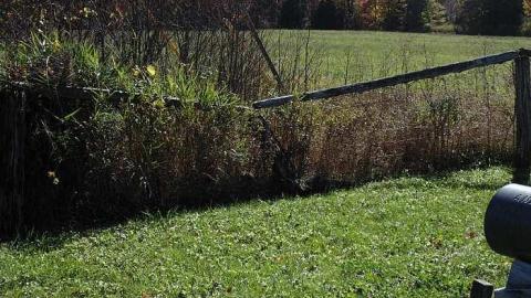 Photo from Oct 10, 2015