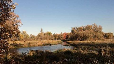 Photo from Stone House Farm