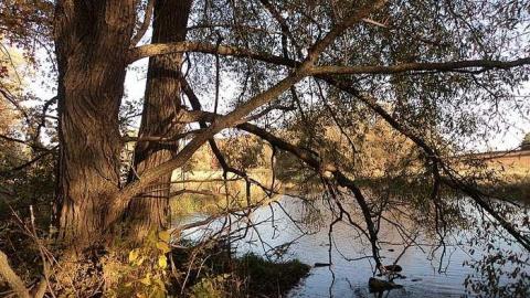 Stone House Farm - Scenic-Farm-on-Township-Rd.-333.jpg