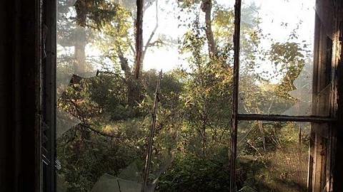 Stone House Farm - Scenic-Farm-on-Township-Rd.-36.jpg