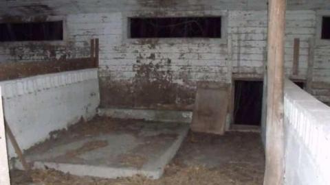 Abandoned Stable - Old-Horse-Stable-Tiny-Beaches27.jpg