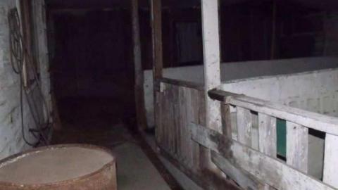 Abandoned Stable - Old-Horse-Stable-Tiny-Beaches28.jpg