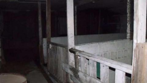 Old Horse Stable- Tiny Beaches photo 3