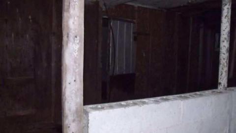 Old Horse Stable- Tiny Beaches photo 2