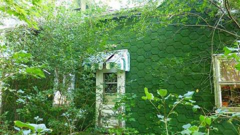 Smith's - g-P1040772.jpg