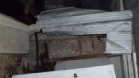 Old Horse Stable- Tiny Beaches photo 4