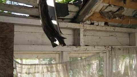 Taken in 2013 - m-yoyoyoy 542.jpg