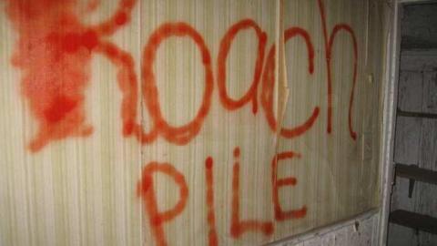 Taken in 2013 - b-yoyoyoy 543.jpg