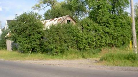 Holy Foley - Foley-(ghost-community)3.jpg