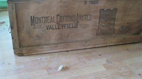 Photo from 2013 Expidition